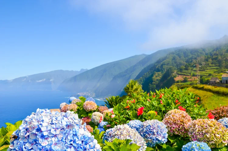 visite madere portugal
